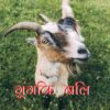गूंगकि बलि