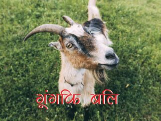 गूंगकि बलि