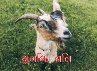 गूंगकि बलि