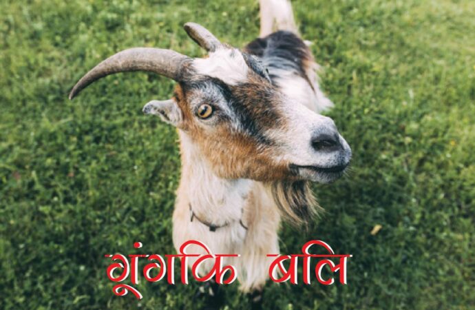 गूंगकि बलि